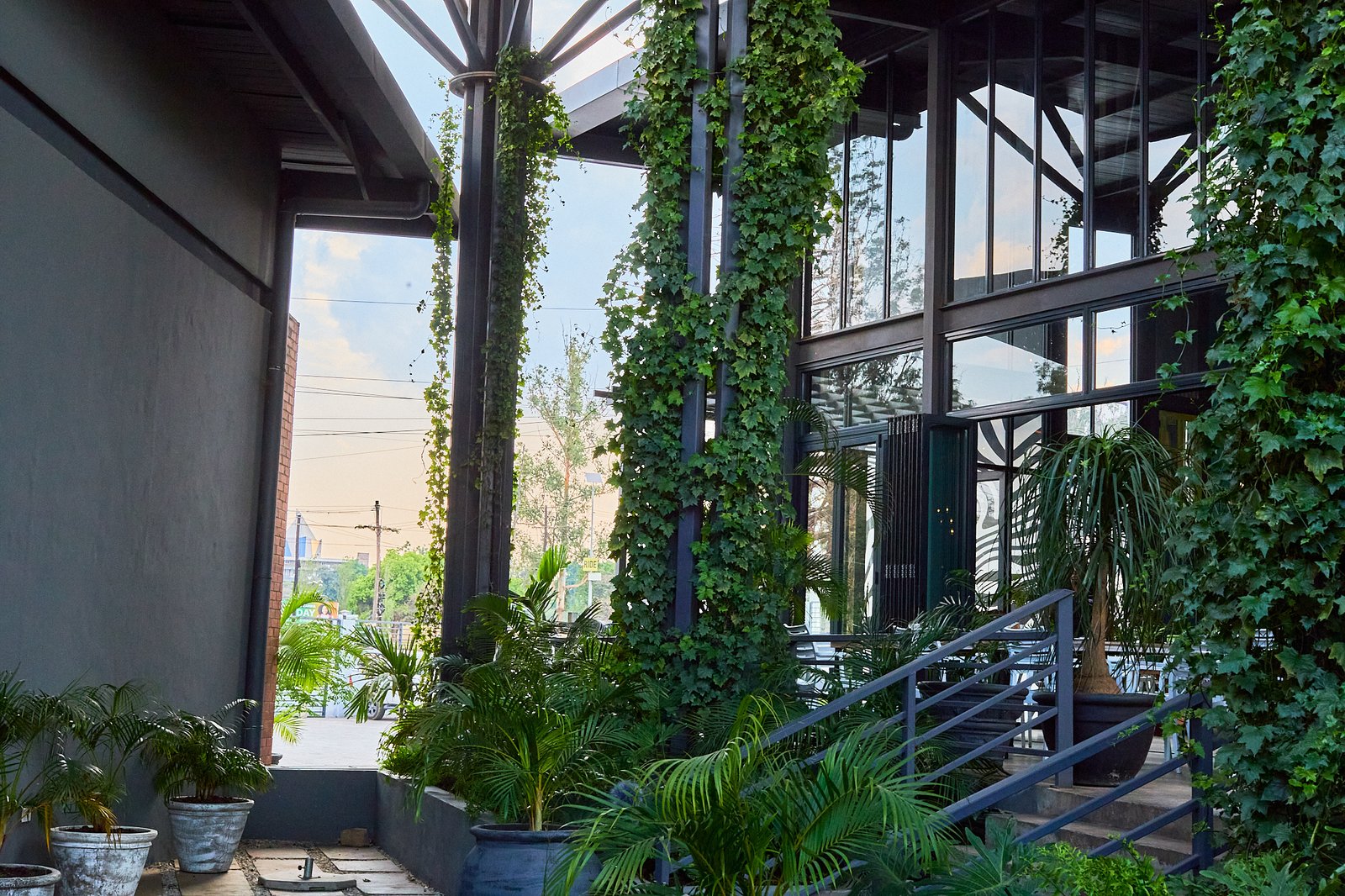 Prime Fresh Moment 12